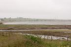 2026-07-n10-4043