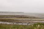 2026-07-n10-4046