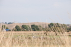 2026-07-n10-4364