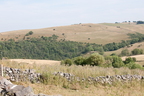 2026-07-n10-4370