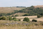 2026-07-n10-4372