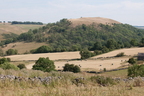 2026-07-n10-4373