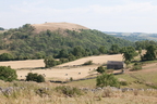 2026-07-n10-4374