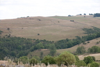 2026-07-n10-4484
