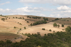 2026-07-n10-4492