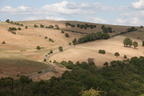 2026-07-n10-4493