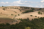 2026-07-n10-4494