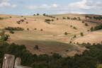 2026-07-n10-4495