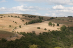 2026-07-n10-4496