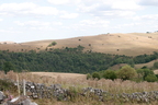 2026-08-n10-4674