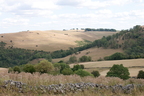 2026-08-n10-4675