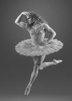2026-08-Tutu-01