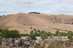 2026-08-n10-5153