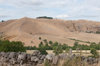 2026-08-n10-5154