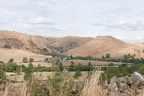2026-08-n10-5155