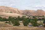 2026-08-n10-5159