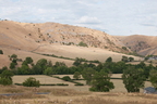 2026-08-n10-5160
