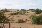 2026-08-n10-5162
