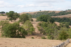 2026-08-n10-5164