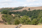 2026-08-n10-5166