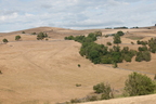 2026-08-n10-5167