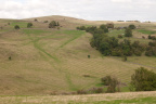 2026-09-n10-5928