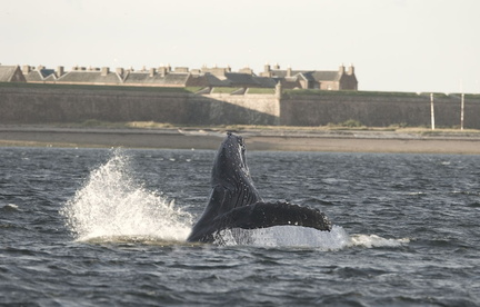 2007-07-n3-2561 830770573 o