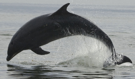 2007-07-n3-3374 840446487 o