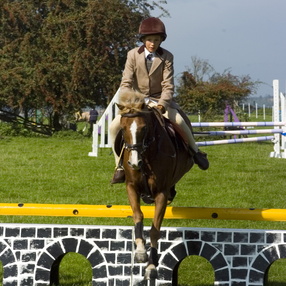 Equine