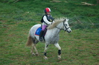 2009-04-n3-5663 s