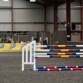 2015-horses